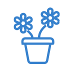 picto_DOTPphthalates_150x150.png